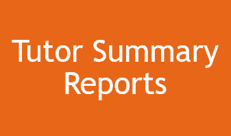 Tutor Summary Reports